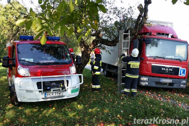 Wietrzno. Jabłoń spadła na ciężarówkę