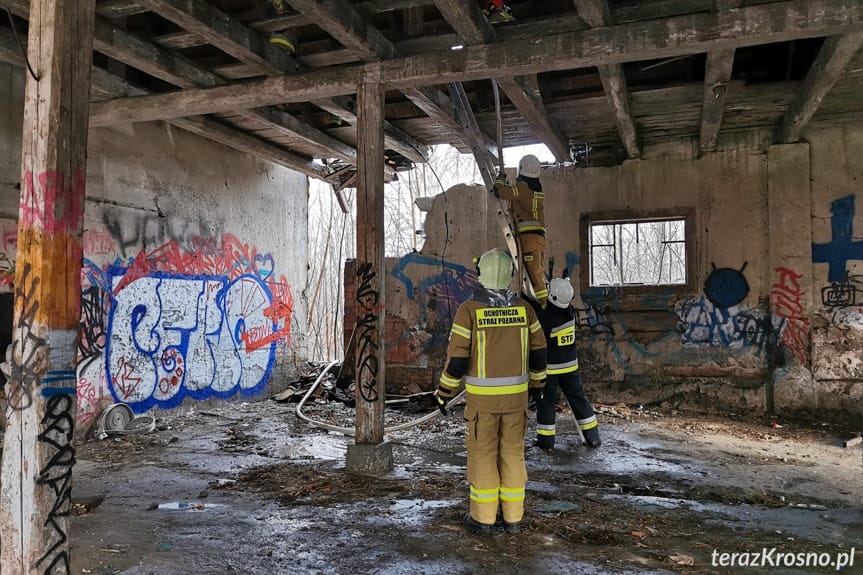 Pożar pustostanu w Chlebnej