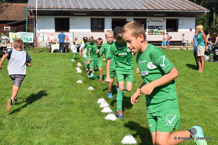 V Piknik Rodzinny w Potoku. W trosce o Twoją przyszłość