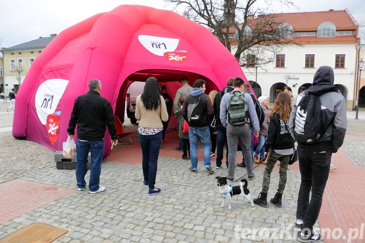 Darmowe drzewka od Radia ZET