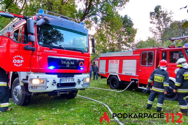 Wróblik Królewski. Pożar w drewnianym budynku