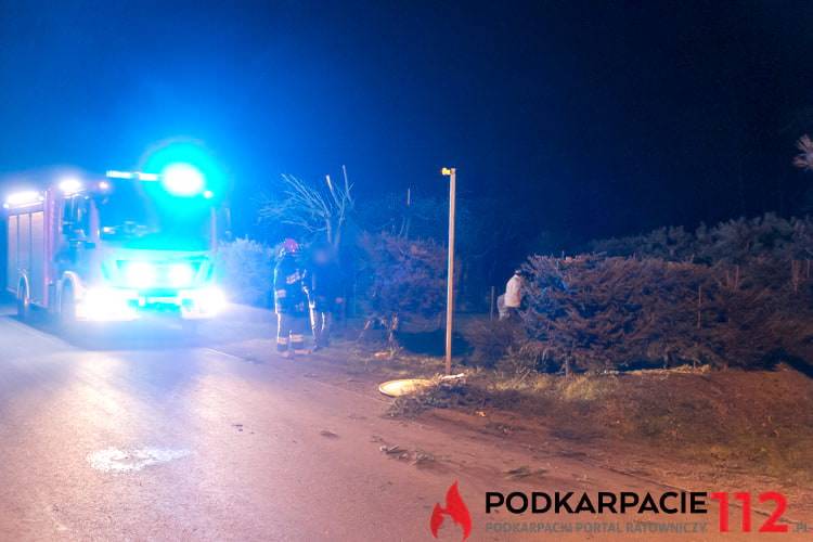 Wypadek w Chlebnej. Ranny motocyklista i jego pasażerka