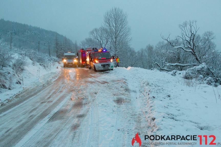 Kierowca BMW wjechał do potoku