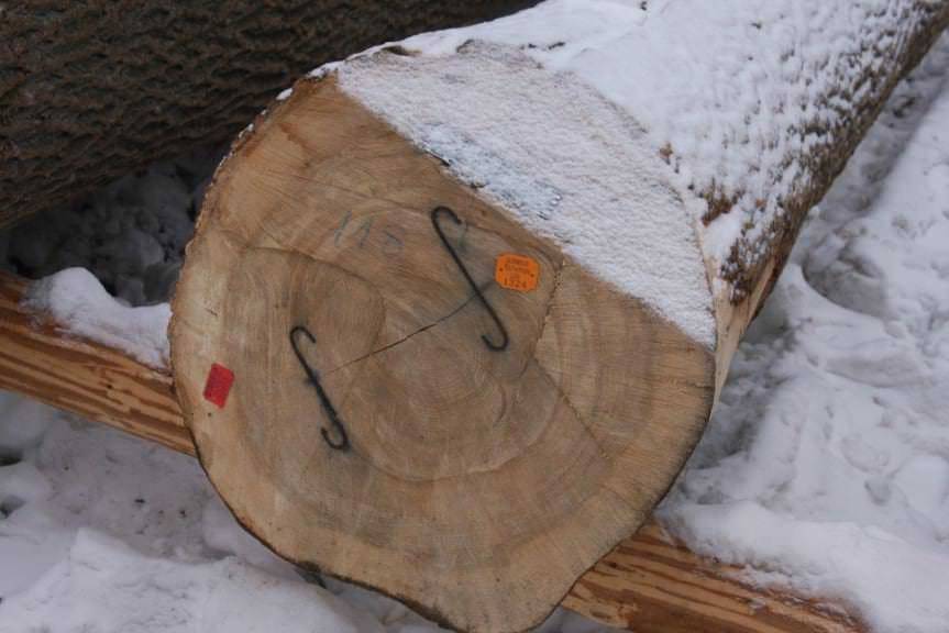 Udana submisja w krośnieńskiej RDLP