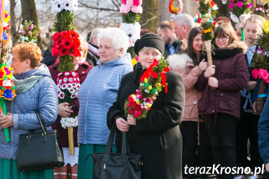 Parada Palm Wielkanocnych w Klimkówce 