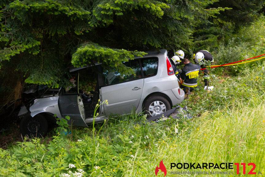 Wypadek w Moszczańcu, dwie osoby poważnie ranne