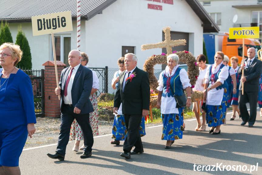 Dożynki gminne w Dobieszynie. Mieszkańcy przeszli w korowodzie