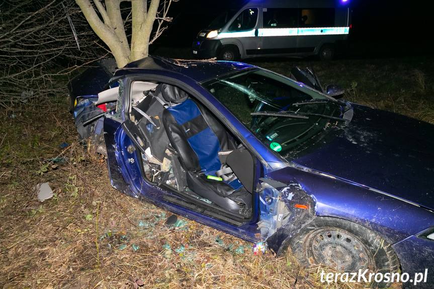 Wypadek w Ladzinie, ford uderzył w drzewo