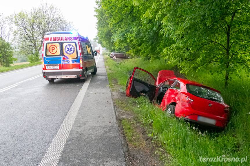 Na prostym odcinku drogi wjechał do rowu