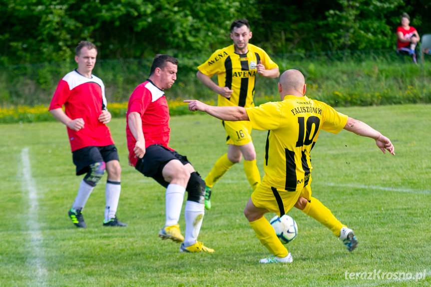 Orzeł Faliszówka - Nafta Chorkówka 6:0 