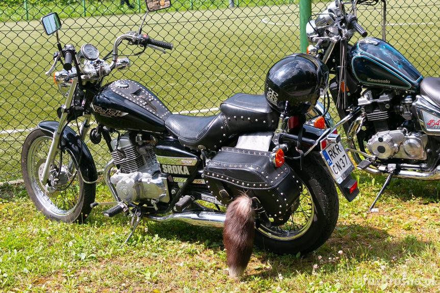 My Generation VI. Muzyka i Motocykle 