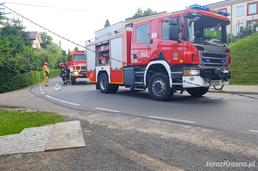 Głowienka. Wypadł z drogi i uderzył w słup