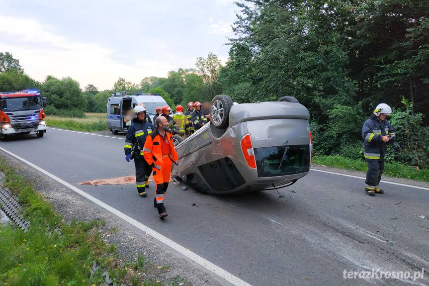 Zjechał do rowu i dachował