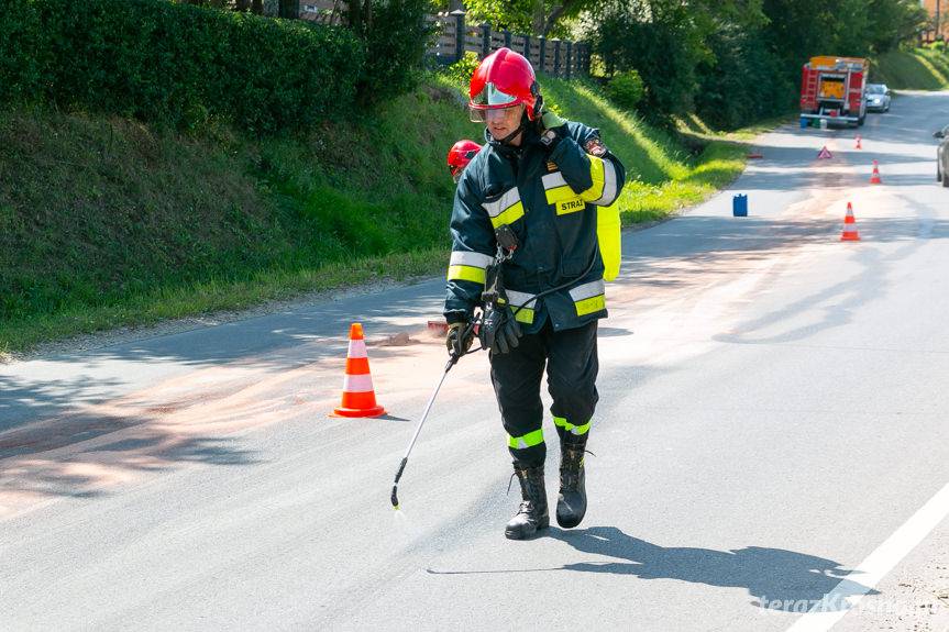 Awaria autokaru. Strażacy neutralizowali rozlany olej