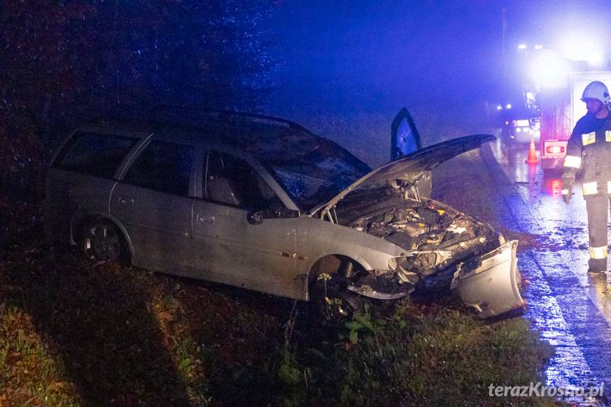 Dachowanie w Woli Komborskiej