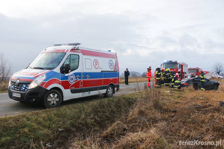 Dachowanie we Wróbliku Szlacheckim