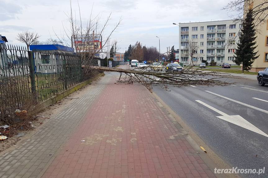 "Sabina" zaatakowała. Zerwane dachy, powalone drzewa
