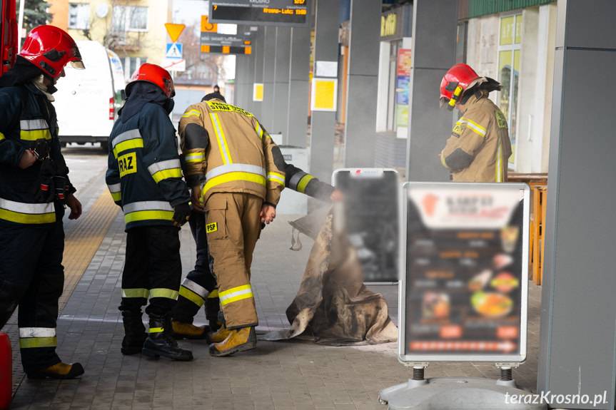 Pożar w lokalu z kebabem, zapaliła się frytkownica