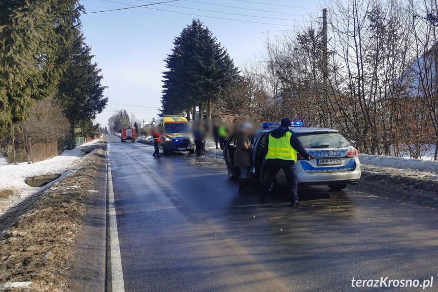 Potrącenie pieszych w Świerzowej Polskiej. Znamy więcej szczegółów