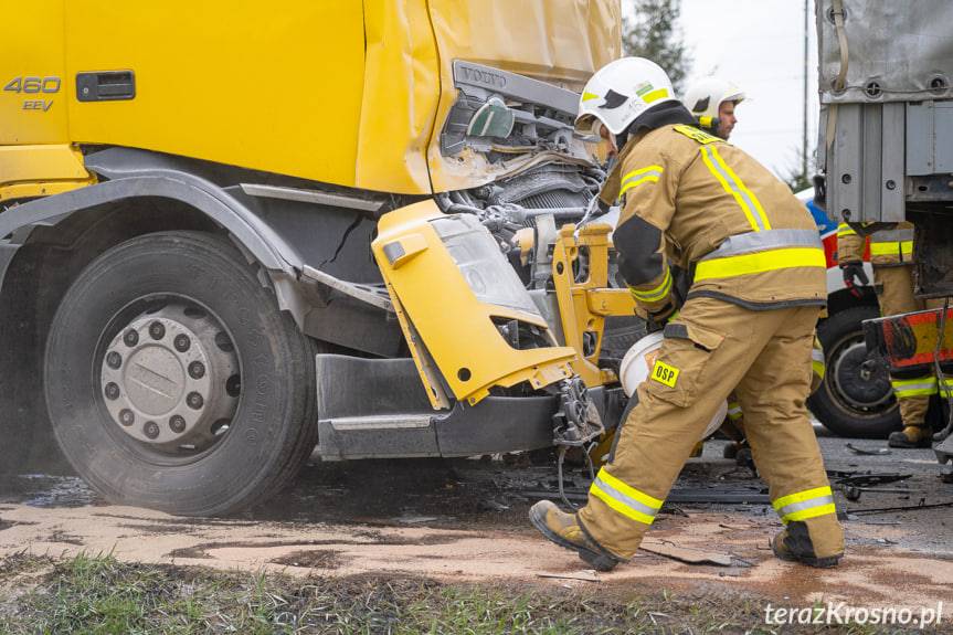 Zderzenie ciężarówek w Rogach