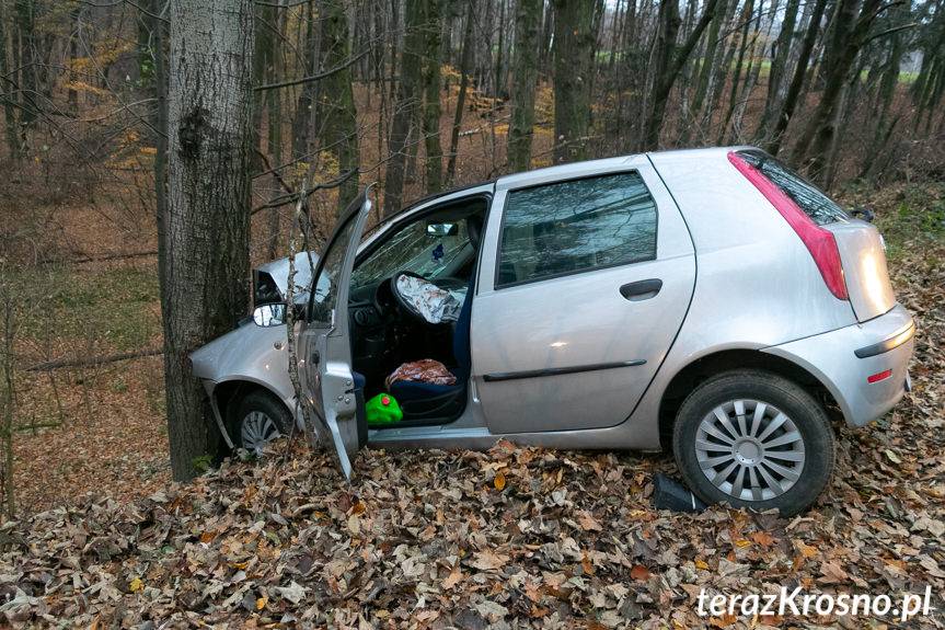 Zasnęła za kierownicą. Uderzyła w drzewo