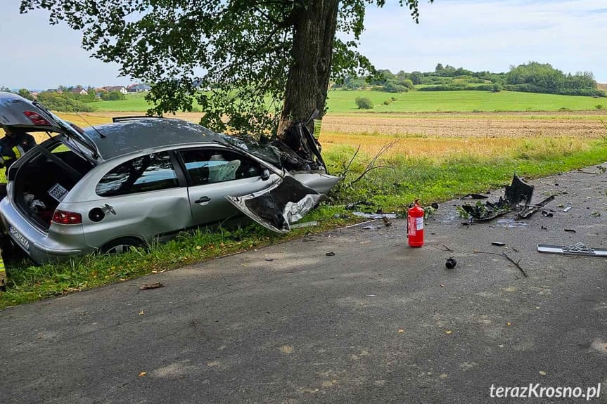 Chorkówka. Samochód uderzył w drzewo