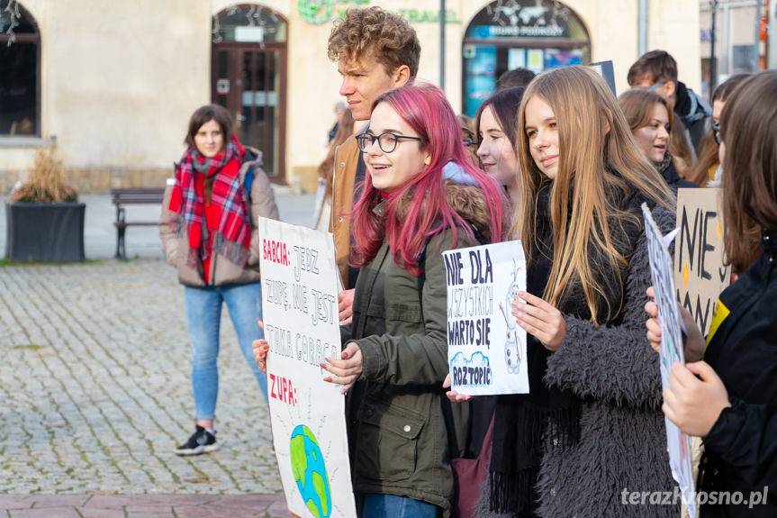 Ulicami Krosna przeszedł Młodzieżowy Marsz Klimatyczny