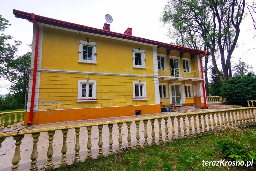 Co się stanie z dworem i parkiem w Łękach Strzyżowskich?