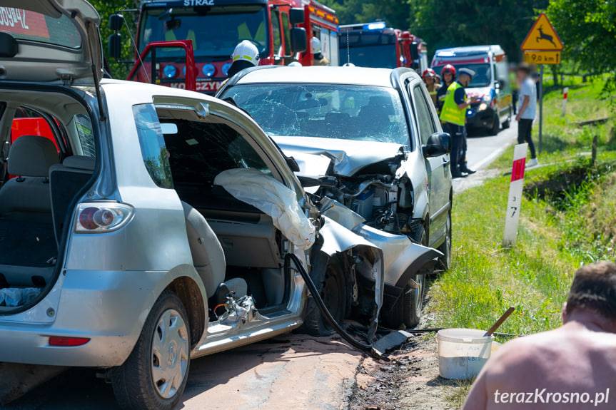 Wypadek w Krasnej, poszkodowane dwie kobiety