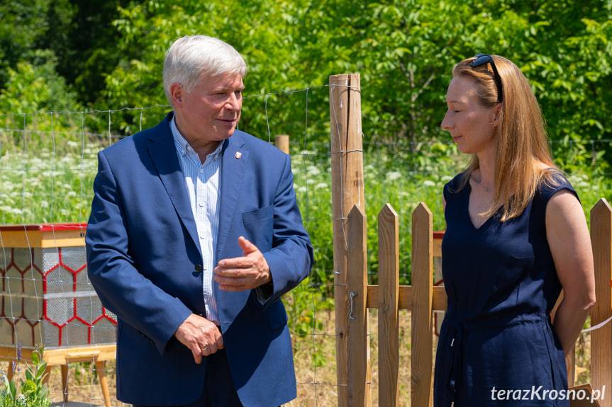 Pszczoły zamieszkały w miejskiej pasiece 