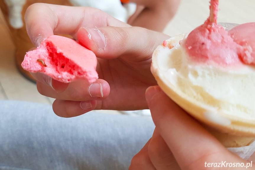 Robaki w dodatku do lodów 