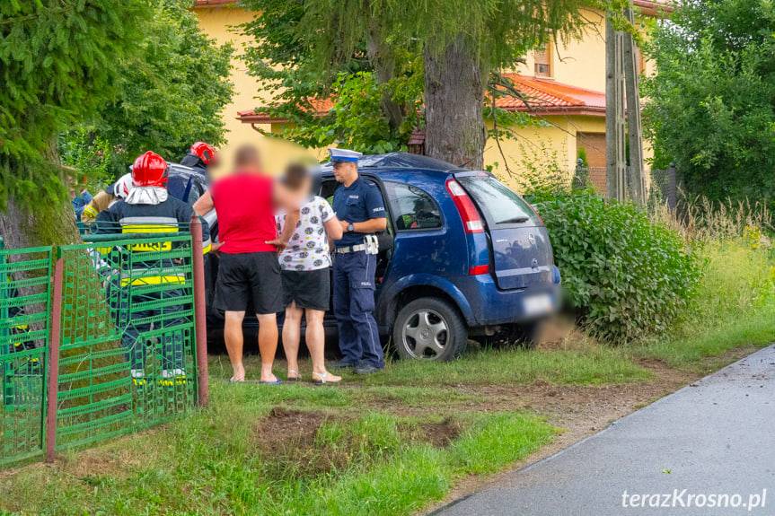 Wypadek w Szczepańcowej na Długiej