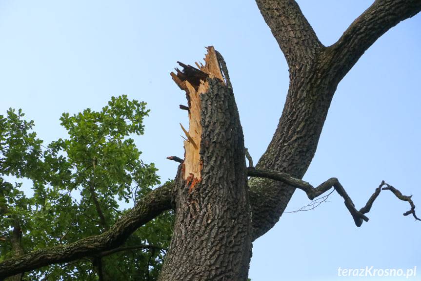 Czy uda się uratować Aleksandra z Krościenka Wyżnego?