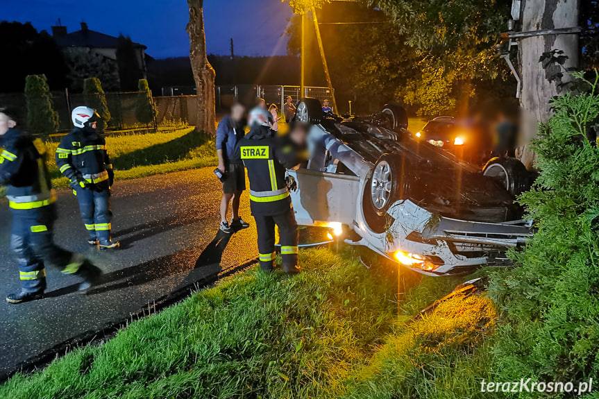 Dachowanie w Leśniówce