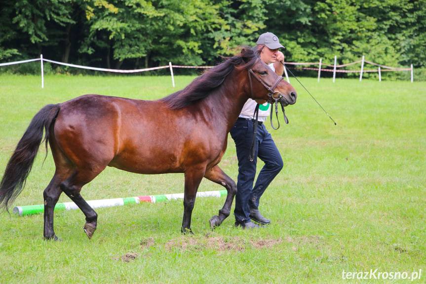 Pożegnanie Wakacji w Rudawce Rymanowskiej 