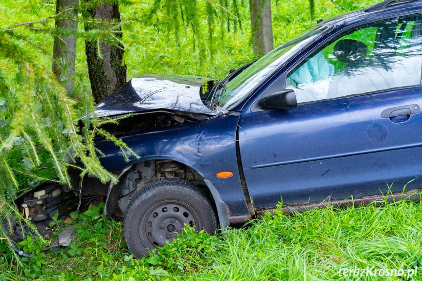 Równe. Fordem wjechał w przydrożne drzewo