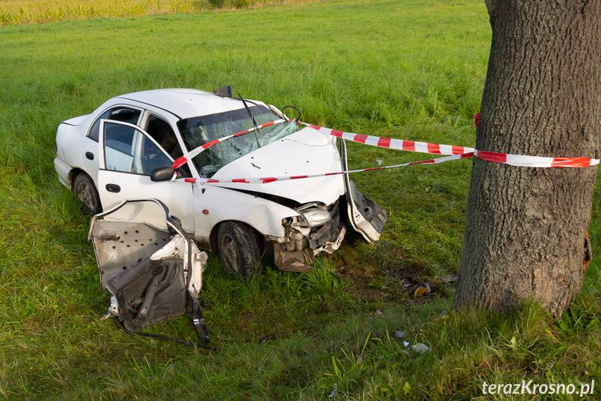 Hyundai uderzył w drzewo w Równem