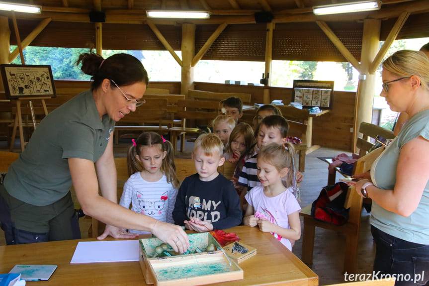 Krosno. Poznawanie świata natury wszystkimi zmysłami [FILM]