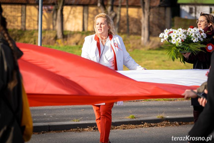 Marsz Niepodległości "Połączeni Flagą" w Miejscu Piastowym