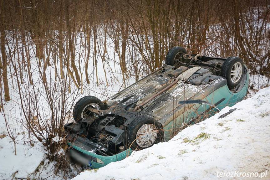 Dachowanie forda w Rogach