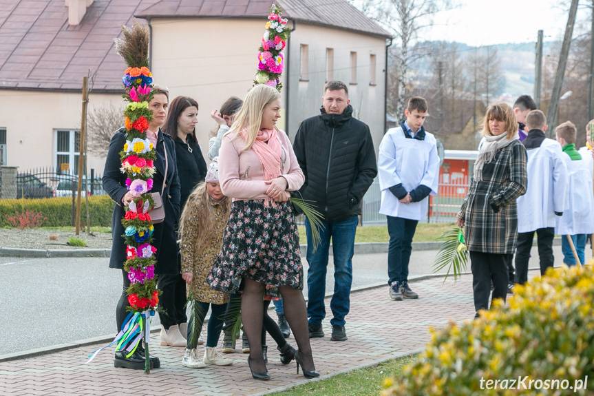 Niedziela Palmowa. Przez Zręcin przeszła procesja z palmami