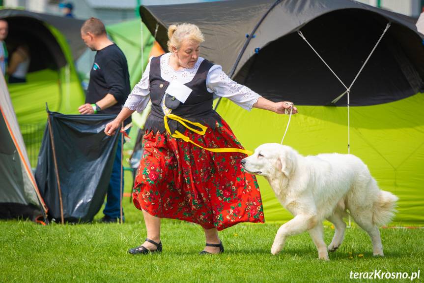 XXXI Podkarpacka Wystawa Psów Rasowych