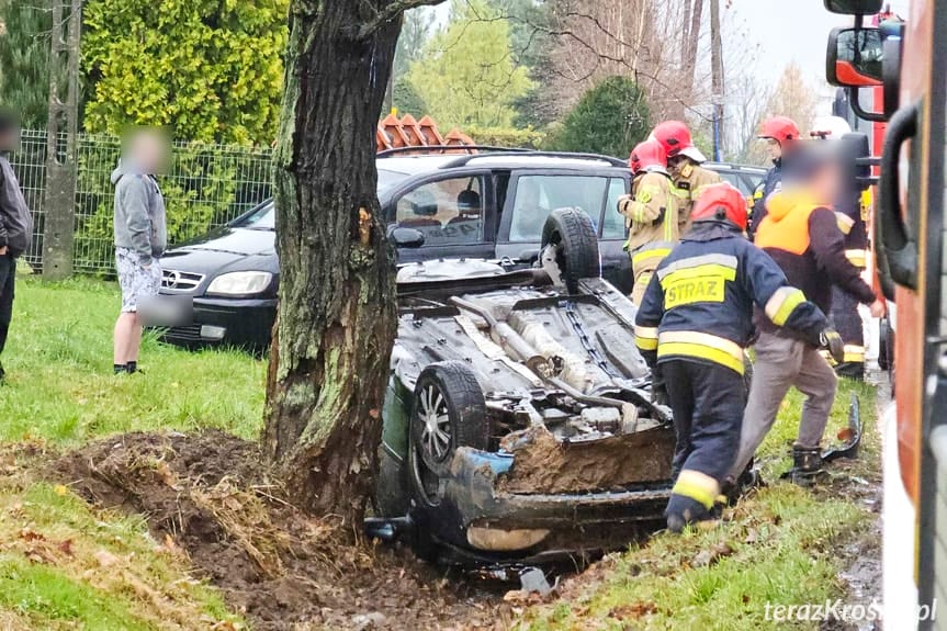 Dachowanie w Odrzykoniu