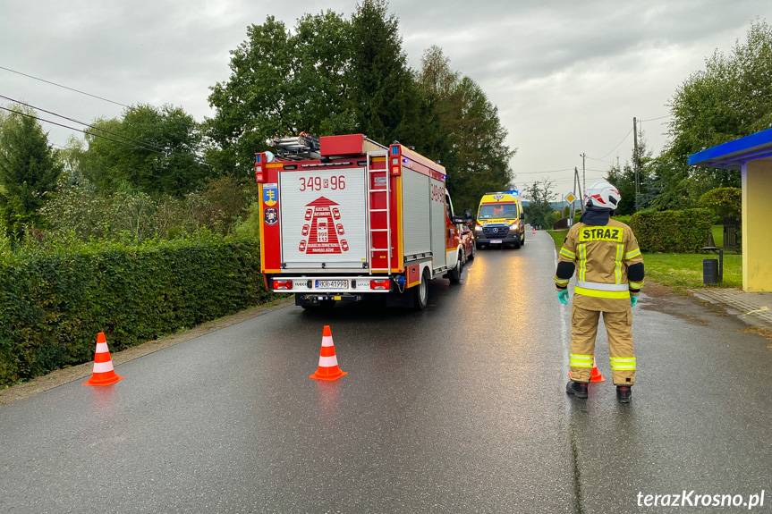 Trójkołowcem w ogrodzenie