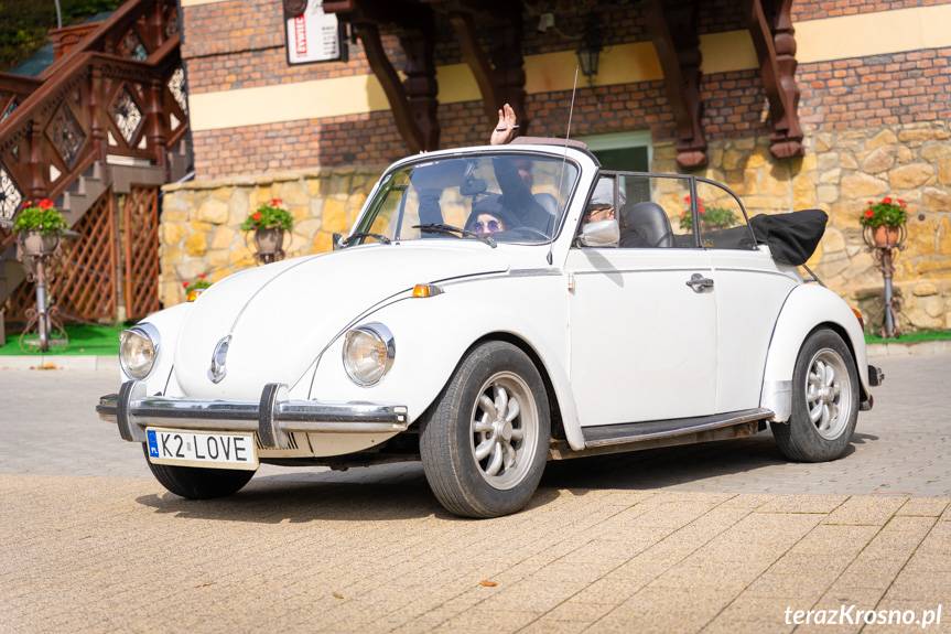 Wypasione garbusy w Iwoniczu-Zdroju