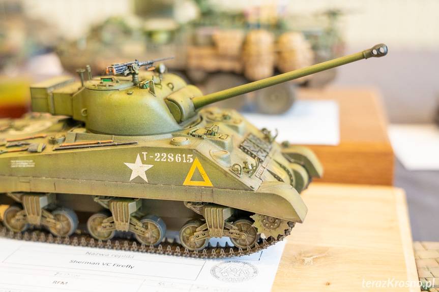 Cuda z plastiku, kartonu i drewna. Festiwal Modelarski Galicjada 2022