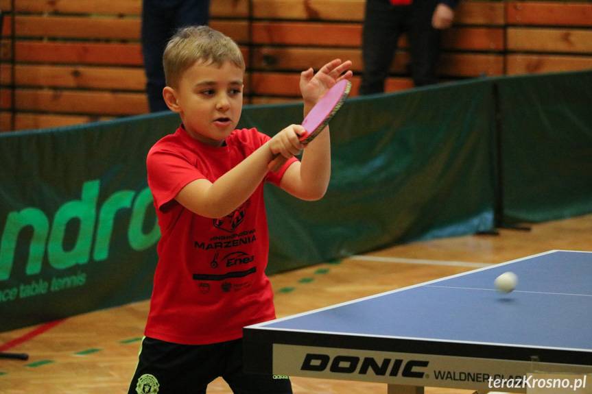 Krościenko Wyżne. Grand Prix Podkarpacia skrzatek i skrzatów w tenisie stołowym