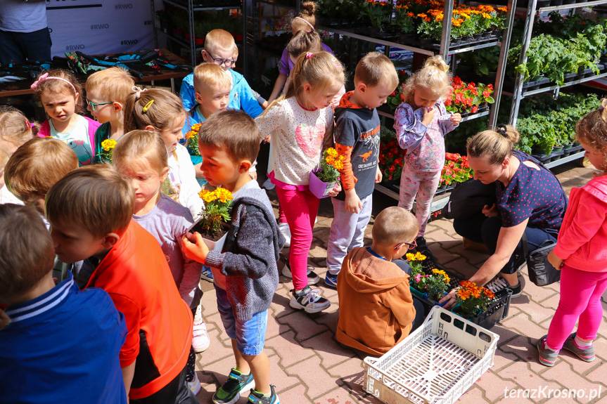 Rodzinne warsztaty ogrodnicze w Krośnie