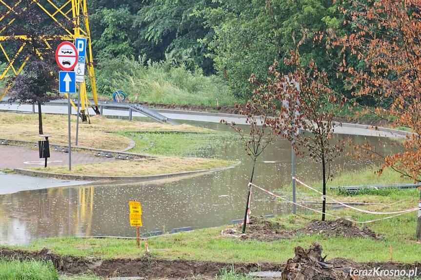 Podkarpacie. Blisko 300 interwencji po nawałnicach