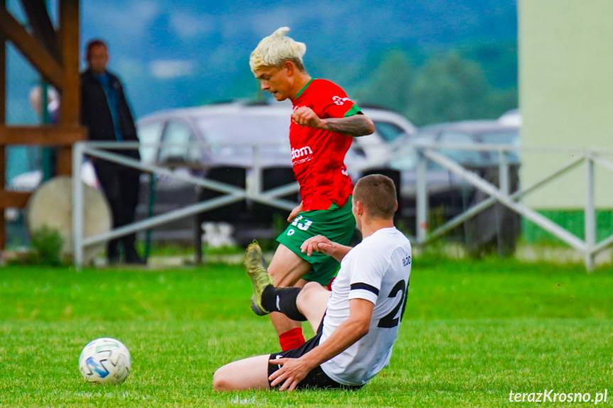 Remis, który dał utrzymanie Zamczysku Odrzykoń